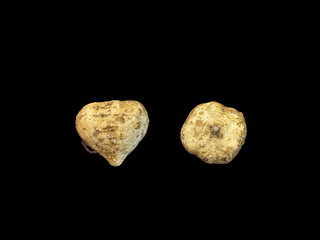 Jicama (Pachyrhizus erosus) is a tuber that is rich in nutrients and is often used as a food...