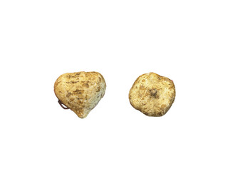 Fototapeta premium Jicama (Pachyrhizus erosus) is a tuber that is rich in nutrients and is often used as a food ingredient or natural skin care.