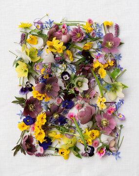 Beginning of spring, floral composition