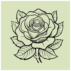 Hand drawn red rose black and white illustration