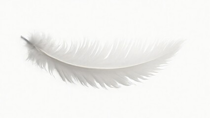 Obraz premium Delicate White Feather Isolated on Soft Background for Nature Designs