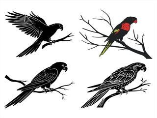 lorikeet sihouette black vector bundle