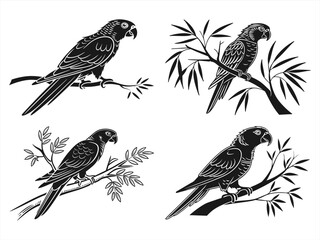 lorikeet sihouette black vector bundle