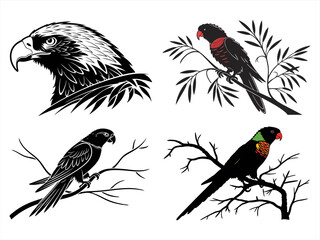 lorikeet sihouette black vector bundle