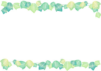 水彩　葉　緑　イラスト　フレーム