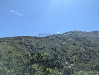 mountain landscape with trees