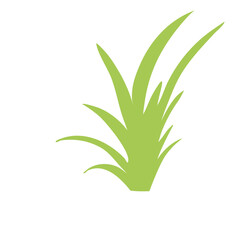 Grass silhouette vector illustrations isolated on white background