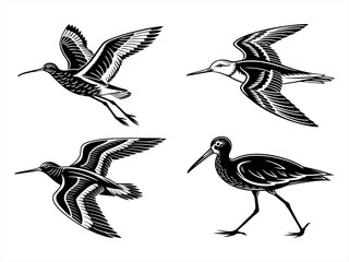 sandpiper silhoette black vector bundle