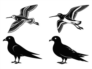 sandpiper silhoette black vector bundle