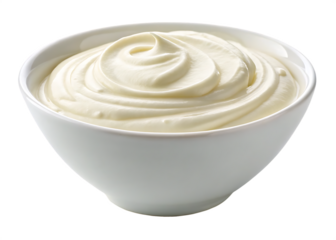 Pure White Pigeon Standing Isolated on White Background