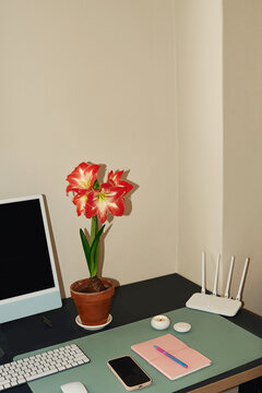 Working table at home with flower in a pot