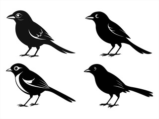 shrike sihouette black vector bundle