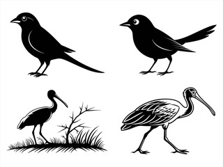 shrike sihouette black vector bundle