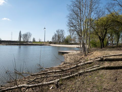 lakefront and windmill
