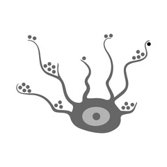 melanocyte icon