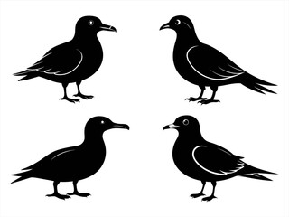 skua sihouette black vector bundle