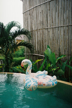 Flamingo pool float in tropical garden
