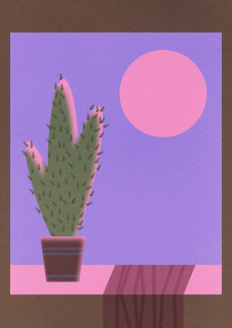 Nighttime Cactus by the Window with Pink Sky