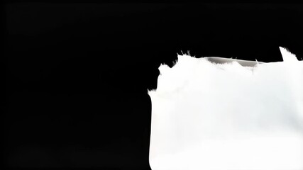 Torn textured white material contrasting against a stark black background, showing rough edges and subtle shadows - Powered by Adobe
