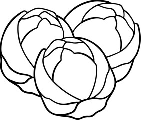 brussels sprouts vegetable outline coloring book page line art vector illustration