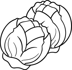 brussels sprouts vegetable outline coloring book page line art vector illustration