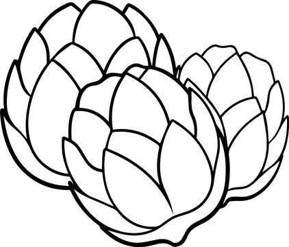 black and white artichokes clip art preview