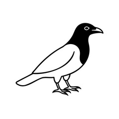 Simple black and white illustration of a magpie bird standing isolated on a white background