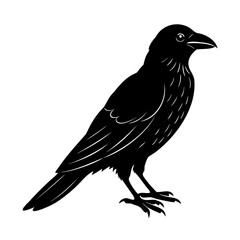 Silhouette illustration of a raven in profile isolated on a white background