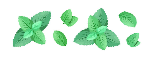 Minimalistic Mint Leaves or Mint Leaf Peppermint, Mint Flavour or Mint Logo Herb Nature Botanical in Vector Illustration © kawacreative