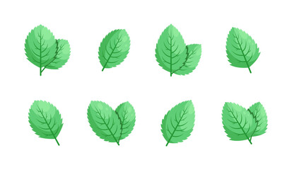Minimalistic Mint Leaves or Mint Leaf Peppermint, Mint Flavour or Mint Logo Herb Nature Botanical in Vector Illustration © kawacreative