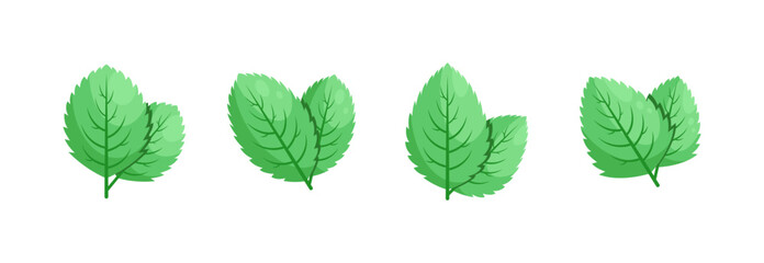 Minimalistic Mint Leaves or Mint Leaf Peppermint, Mint Flavour or Mint Logo Herb Nature Botanical in Vector Illustration © kawacreative