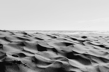 Ocean Sand Dune Black and white 