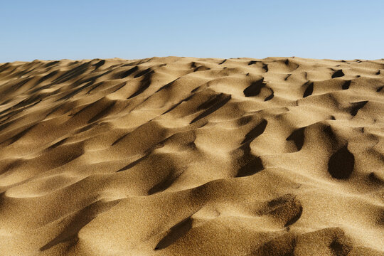 Ocean Sand Dune