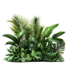 Lush tropical greenery arrangement isolated on transparent background © MAZID