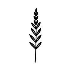 Fototapeta premium Elegant hand drawn black and white botanical illustration of a simple plant sprig on white background