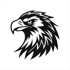 Obraz premium Majestic Bald Eagle Head: Powerful American Symbol of Freedom and Strength