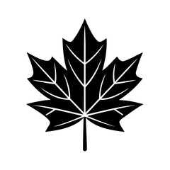 Obraz premium Simple black and white illustration of a maple leaf isolated on a white background