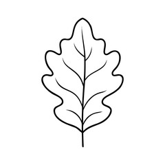 Simple outline of an oak leaf suitable for autumn nature related designs