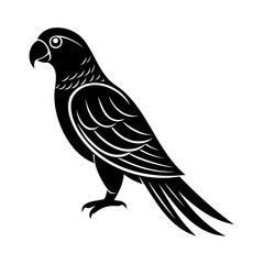 Elegant black and white parrot vector illustration isolated on a white background