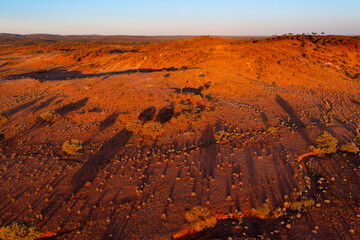 Long shadows of sparse vegetation on a red desert landscape