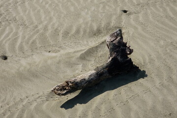 A piece of weathered driftwood rests on a sandy beach, surrounded by smooth ripples in the sand.