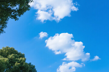 Lush Greenery Meets a Vibrant Azure Sky with Fluffy Clouds