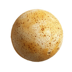 A speckled brown egg isolated on white background showing its texture