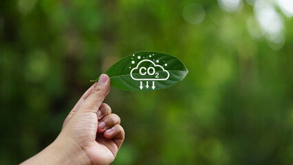 Hand holding a green leaf with CO2 reduction icon, symbolizing carbon capture, sustainability, and...