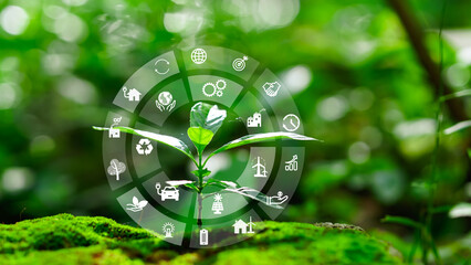 A young plant with CO2, ESG reduction icon and green technology symbols, representing sustainability, carbon capture, and environmental innovation.