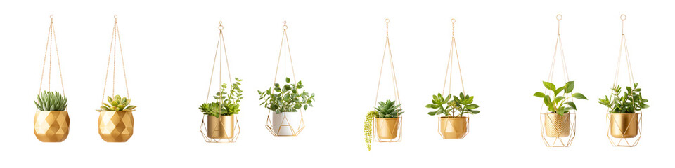Stylish hanging planters featuring lush succulents in gold and white pots, perfect for home d&eacute;cor, adding elegance and a touch of nature to any space