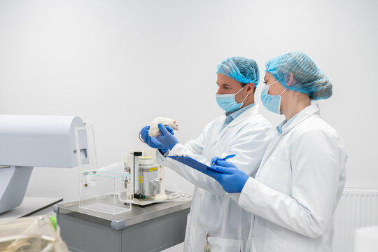 Researchers Analyzing Rat In Ethical Animal Research Lab