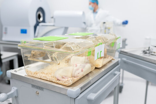 Ethical Animal Research Facility