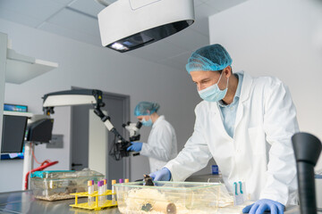 Researchers Working At Ethical Animal Research Facility