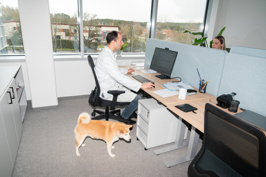 Scientists using computer in the lab office room